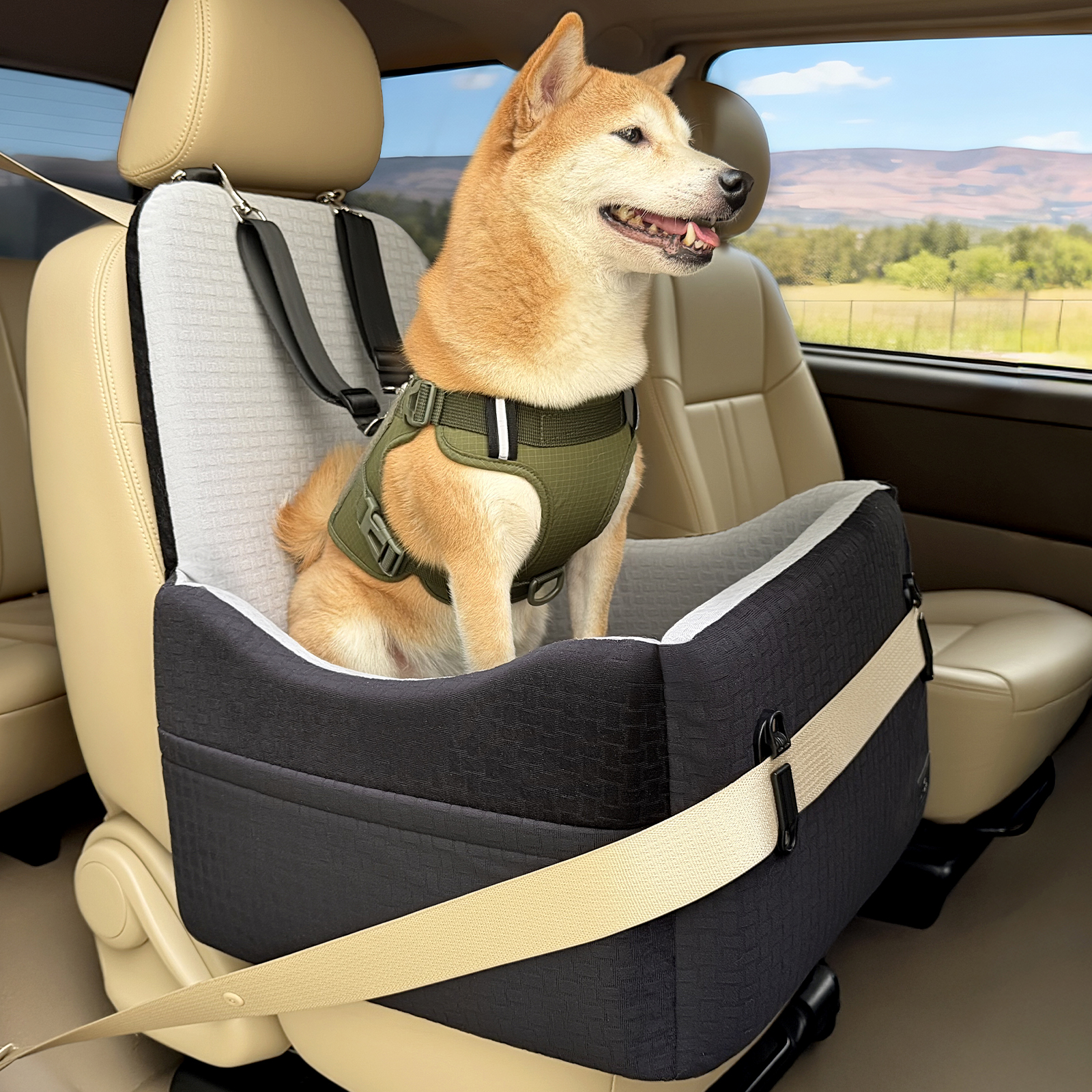 Amazon.co.jp: Petsfit ペットドライブボックス 犬 車用ベッド